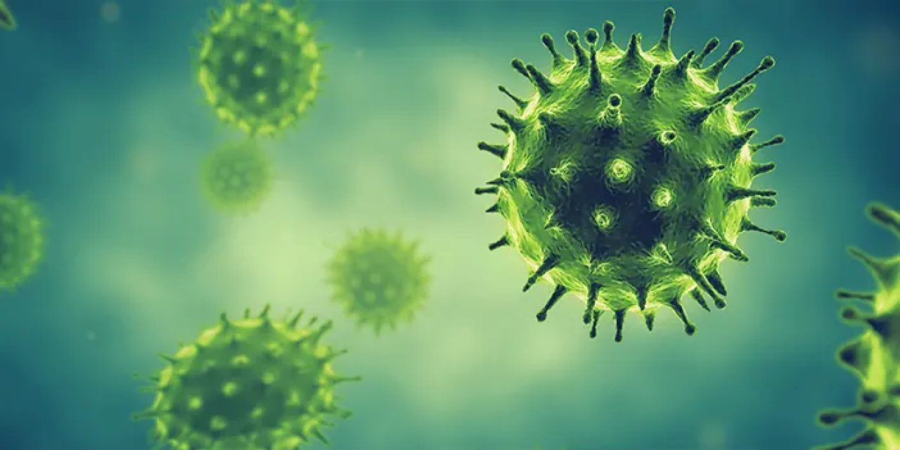 Chikungunya Virüsü nedir, nasıl bulaşır? belirtileri neler?