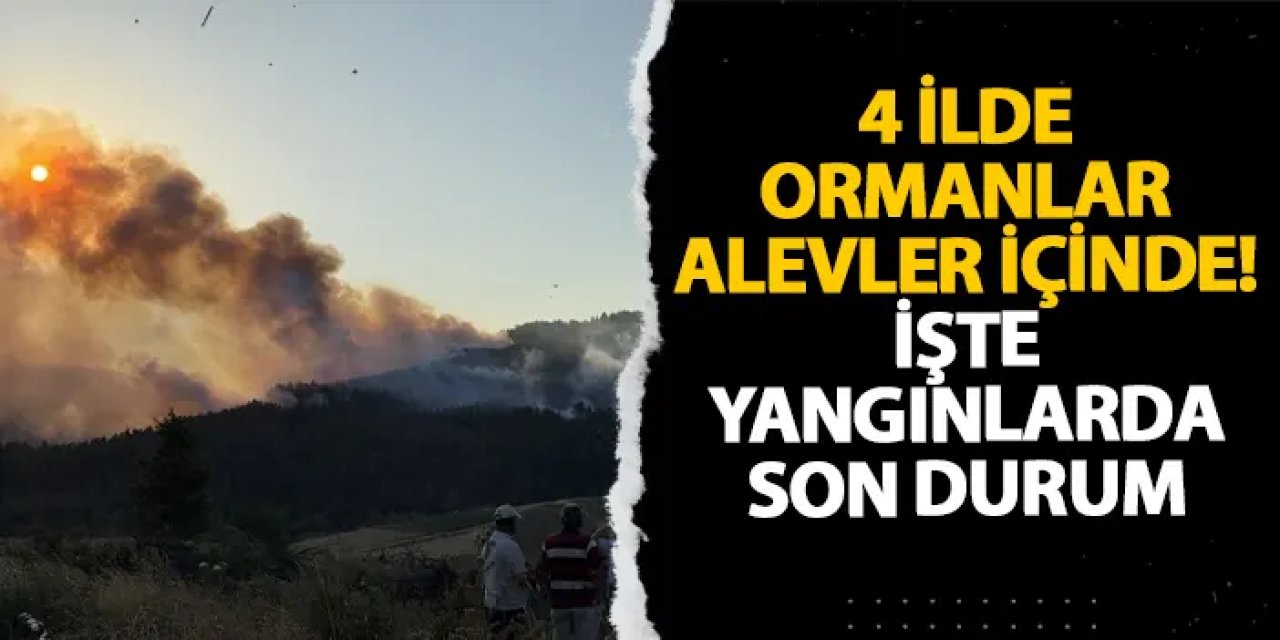 4 ilde ormanlar alevler içinde! İşte yangınlarda son durum