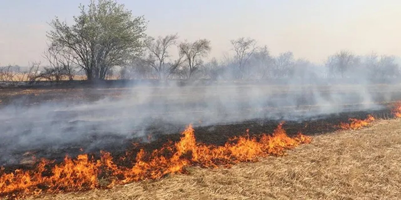 Gümüşhane’nin Kelkit ilçesinde anız yangını çıktı!