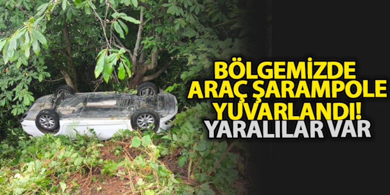 Bölgemizde araç şarampole yuvarlandı! Yaralılar var