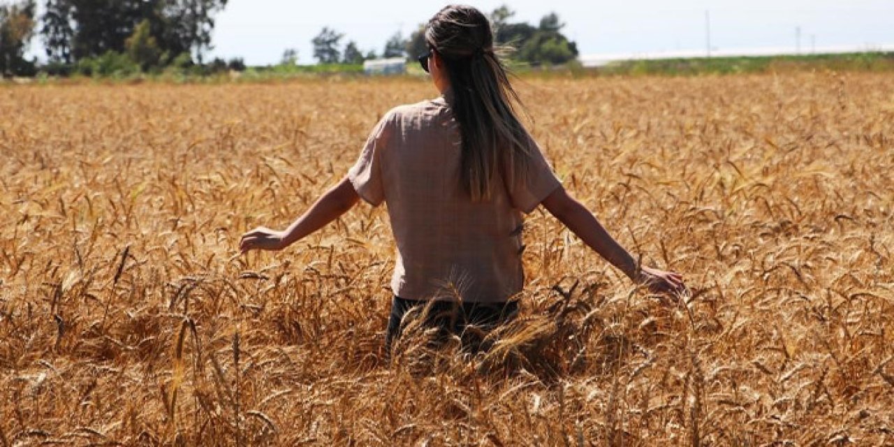 Bayburt kavruluyor! Aydıntepe’de sıcaklık 37 dereceye ulaştı