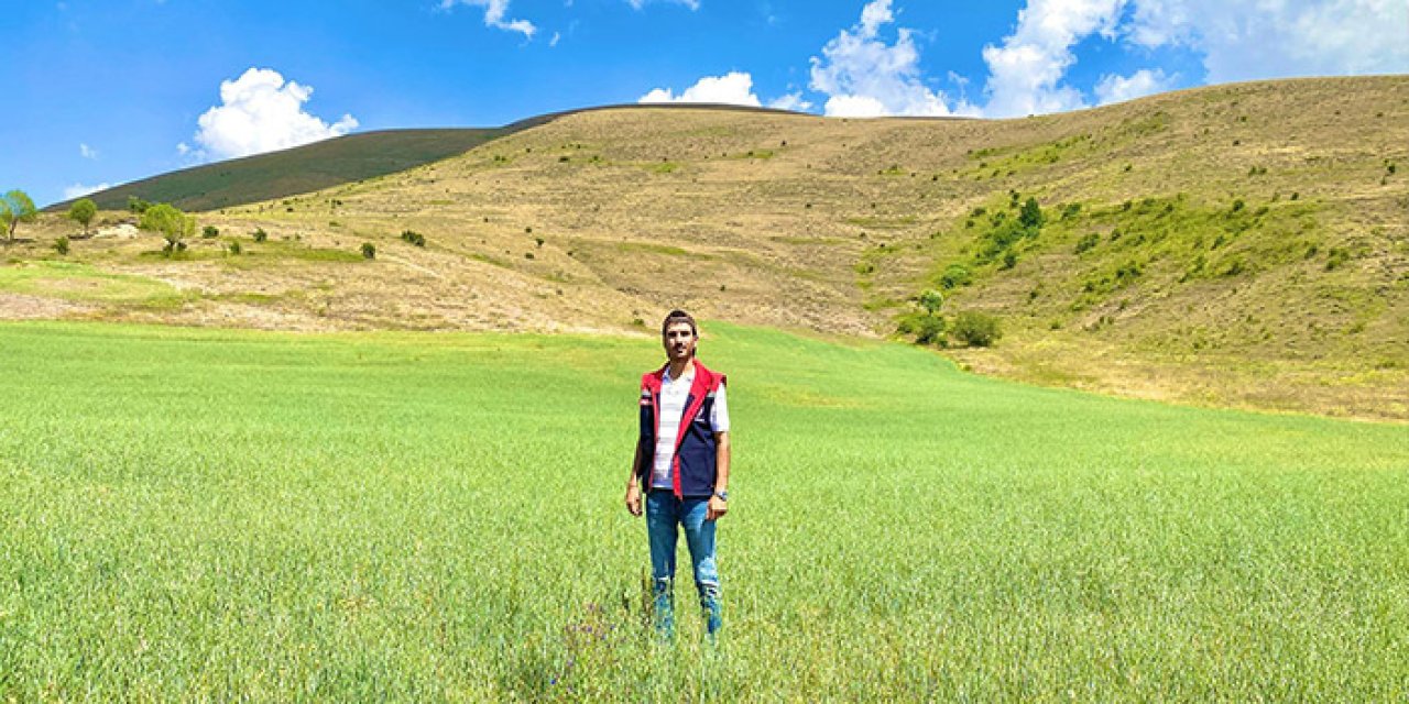Bayburt’ta yem bitkisi arazileri denetlendi!
