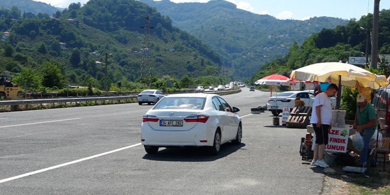 Ordu'da taze fındık tezgahlarda! Kilosu 200 TL