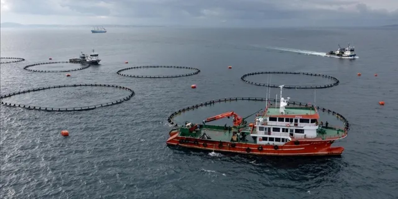 Trabzon’dan su ürünleri ihracatında rekor artış! İlk 6 ayda 69,5 milyon dolar