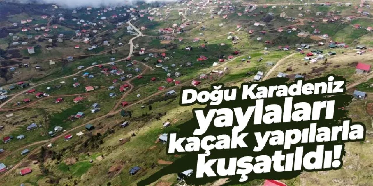 Doğu Karadeniz yaylaları kaçak yapılarla kuşatıldı!