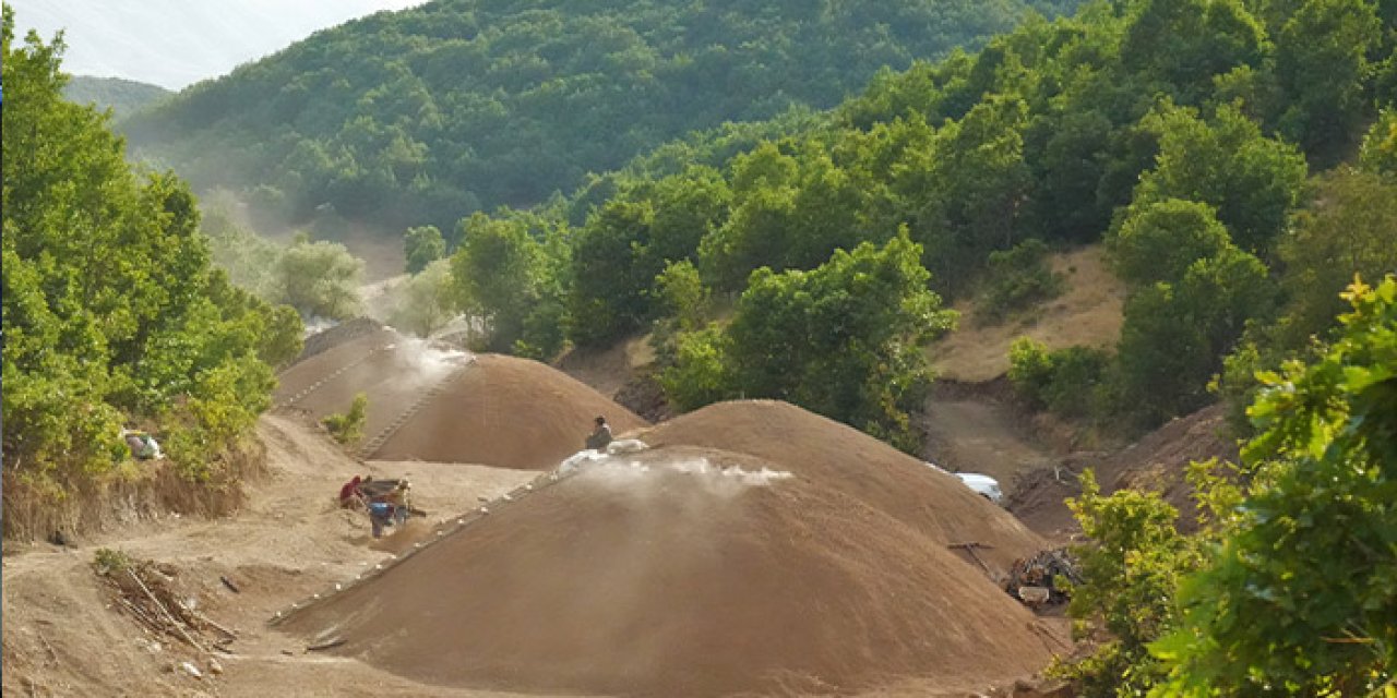 Muş dağlarında mangal kömürü üretimi ekonomiyi canlandırdı