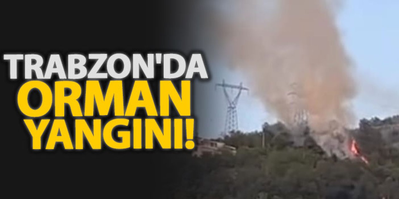 Çarşıbaşı’nda Orman Yangını Kısa Sürede Kontrol Altına Alındı