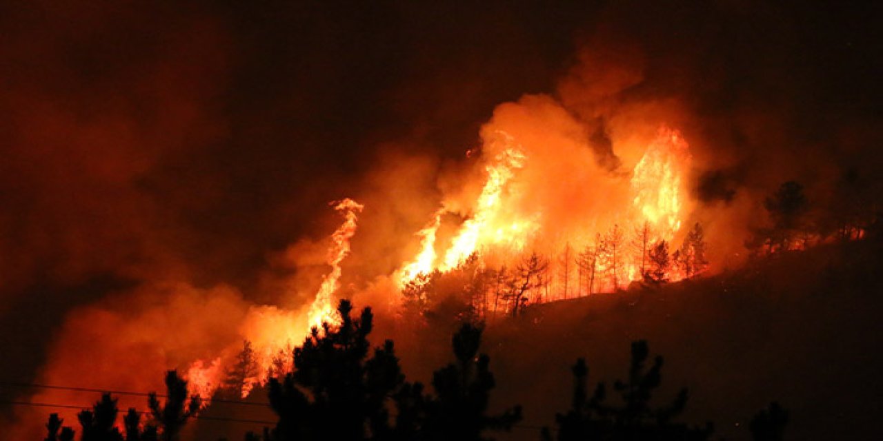Türkiye’de orman yangını alarmı! Risk altındaki alan 12,5 milyon hektar!