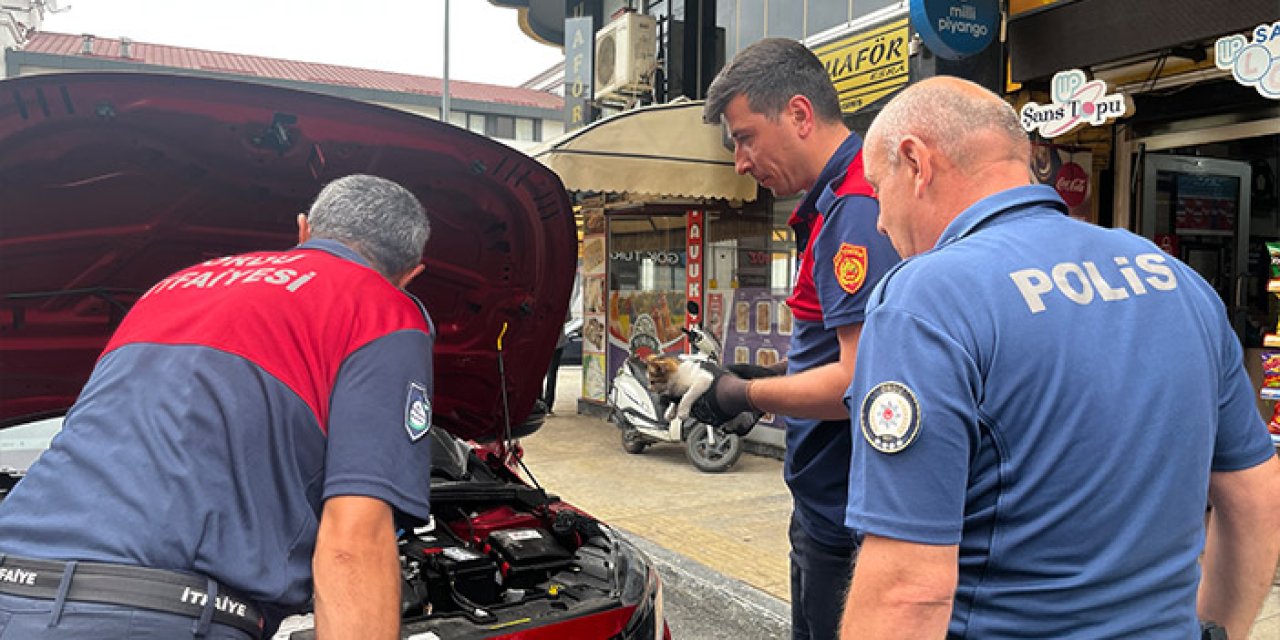 Ordu Ünye’de otomobil motoruna sıkışan yavru kedi kurtarıldı