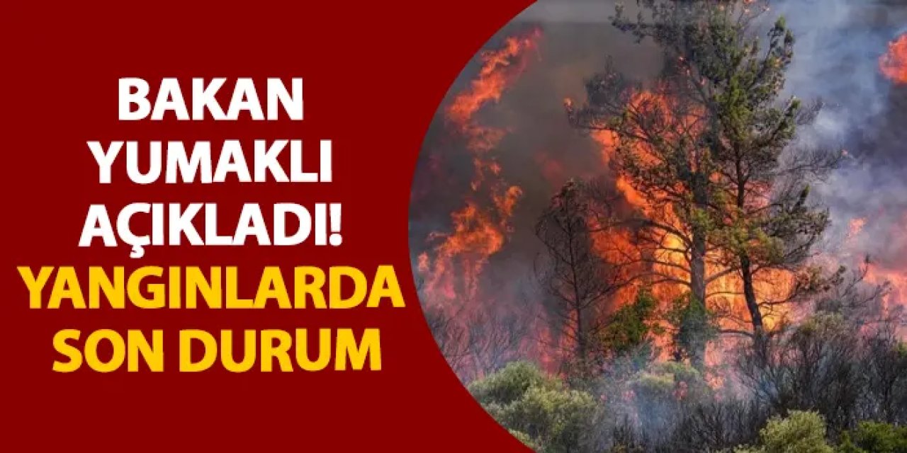 Bakan Yumaklı açıkladı! Yangınlarda son durum