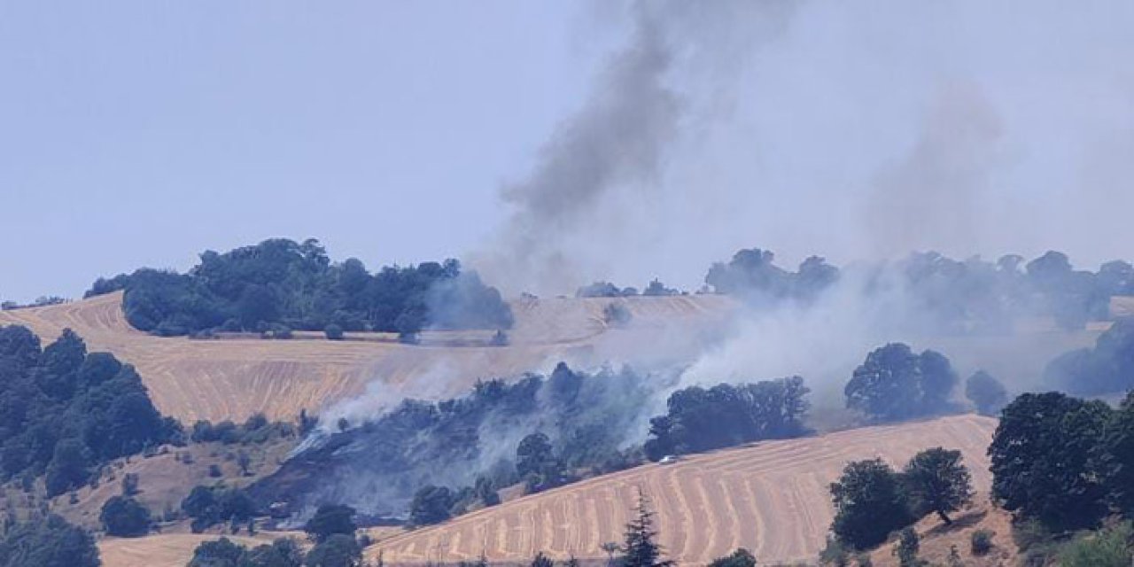 Samsun Havza'da anız yangını ormana sıçradı
