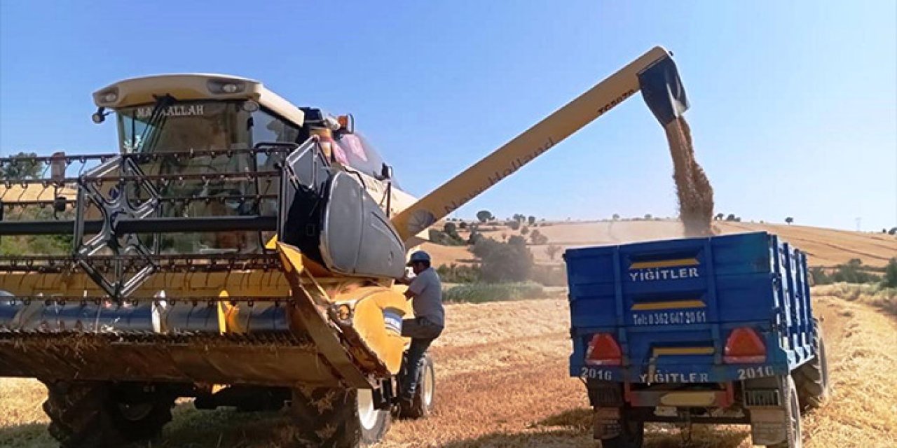 Samsun’da bitkisel üretimde 2 yılda 120 bin ton artış hedefi