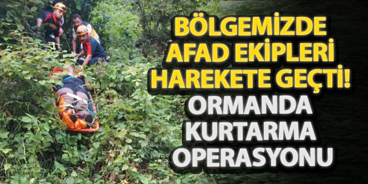 Bölgemizde AFAD ekipleri harekete geçti! Ormanda kurtarma operasyonu