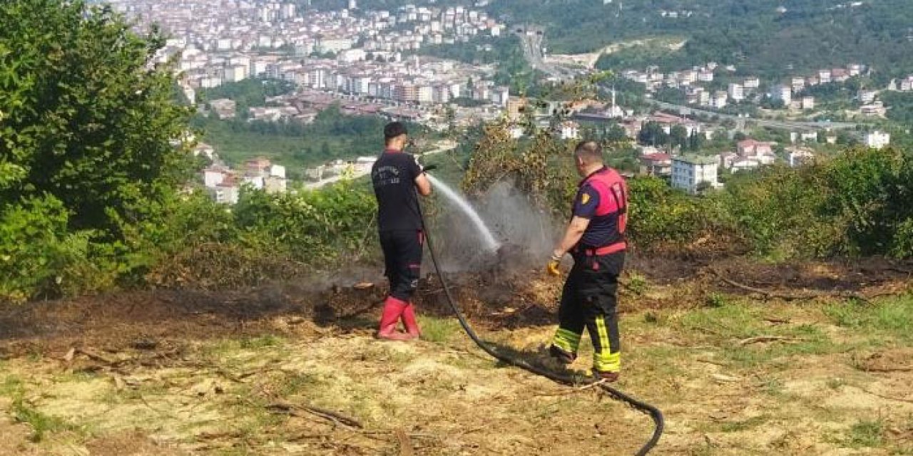 Ordu'da bahçe yangını! Kontrol altına alındı