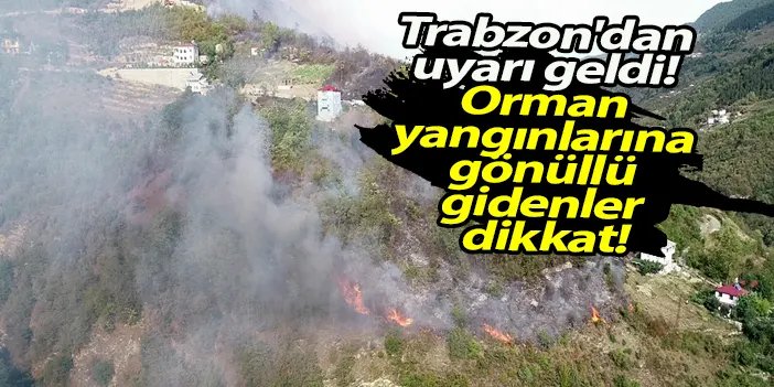 Trabzon'dan uyarı geldi! Orman yangınlarına gönüllü gidenler dikkat!