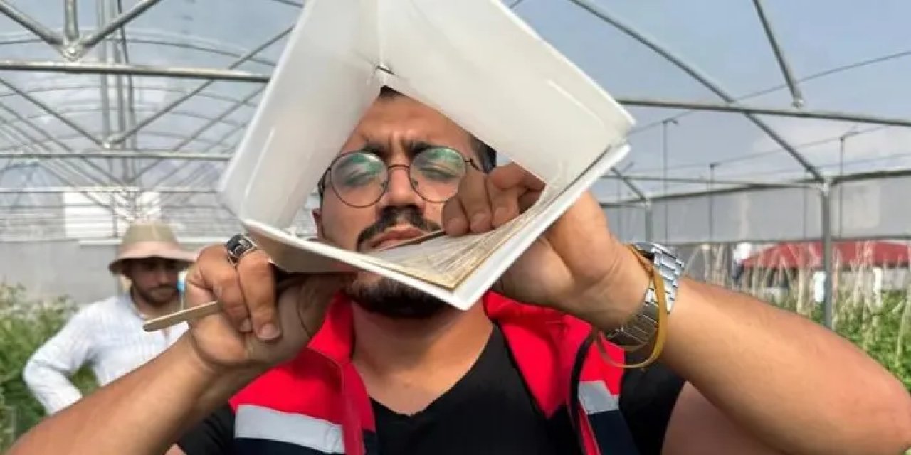 Bayburt’ta Akdeniz meyve sineğine karşı mücadele!