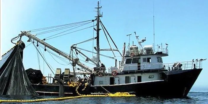 Samsun'da 65 bin 658 ton balık üretimi planlanıyor!