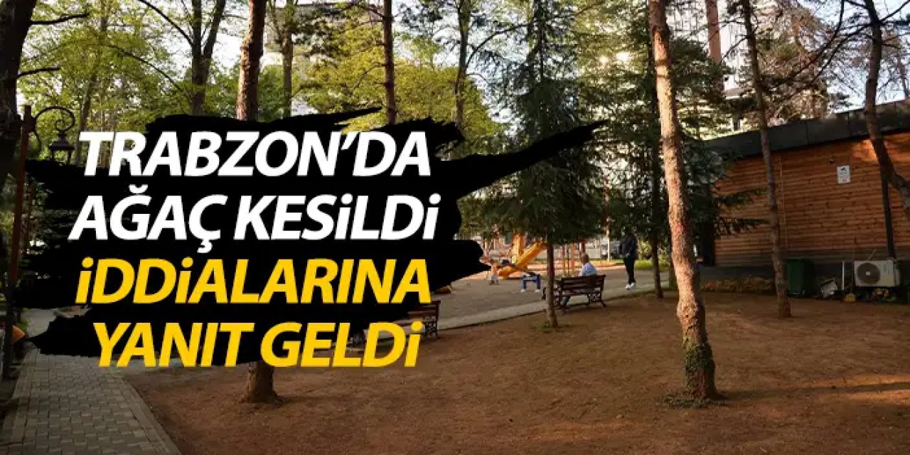 Trabzon'da ağaç kesildi iddialarına yanıt! "Destek olmalıyız köstek değil"