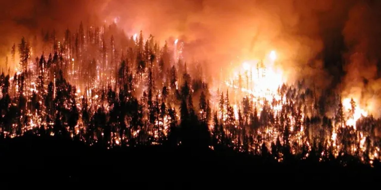 Samsun’da orman yangınlarına karşı seferberlik başlatıldı
