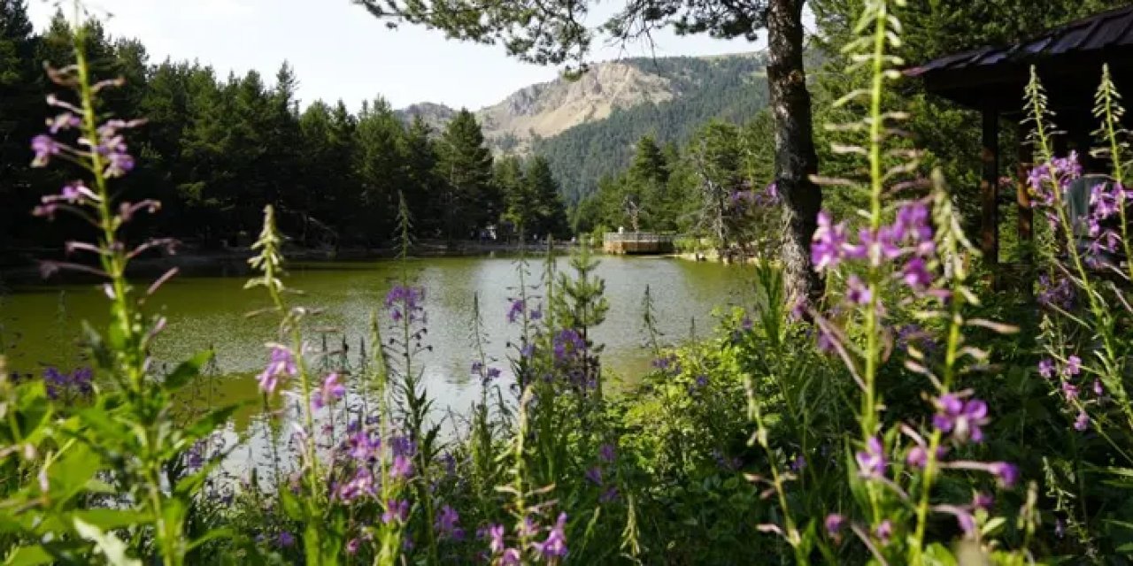Gümüşhane’de sıcaktan bunalanlar Limni Gölü’ne akın etti!