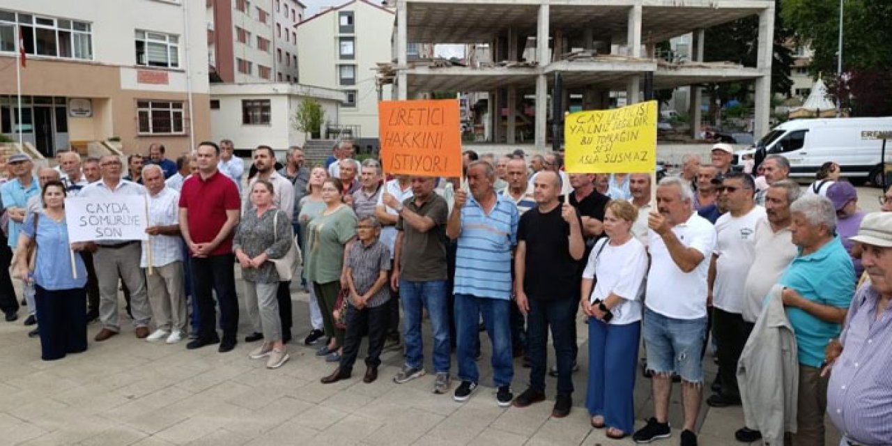 Giresun'da çay üreticilerinden ÇAYKUR'a tepki! “Emeğimizin karşılığını alamıyoruz”