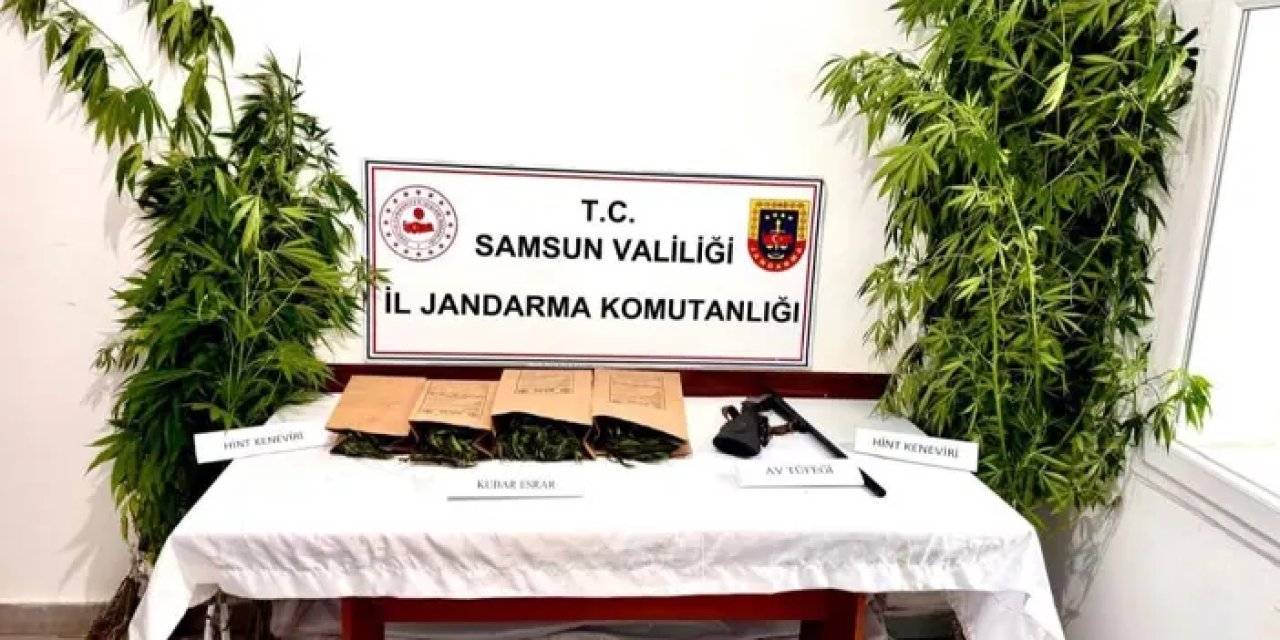 Samsun’da jandarmadan zehir operasyonu! Esrar ve kenevir ele geçti