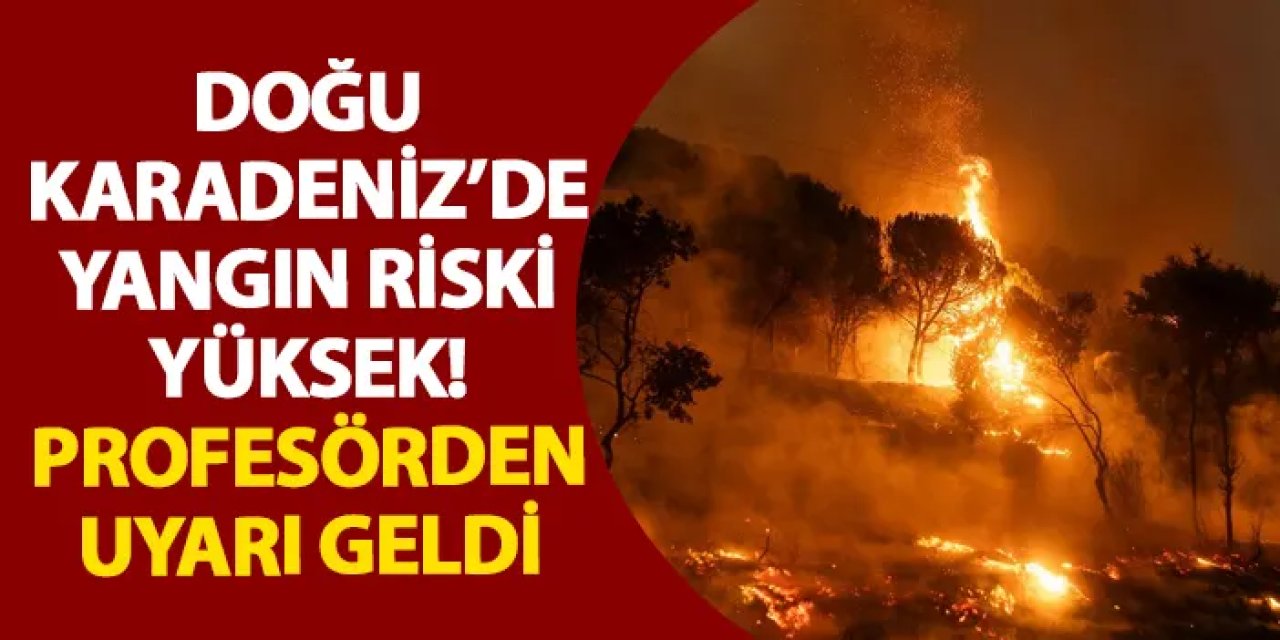 Doğu Karadeniz’de yangın riski yüksek! Profesörden uyarı geldi
