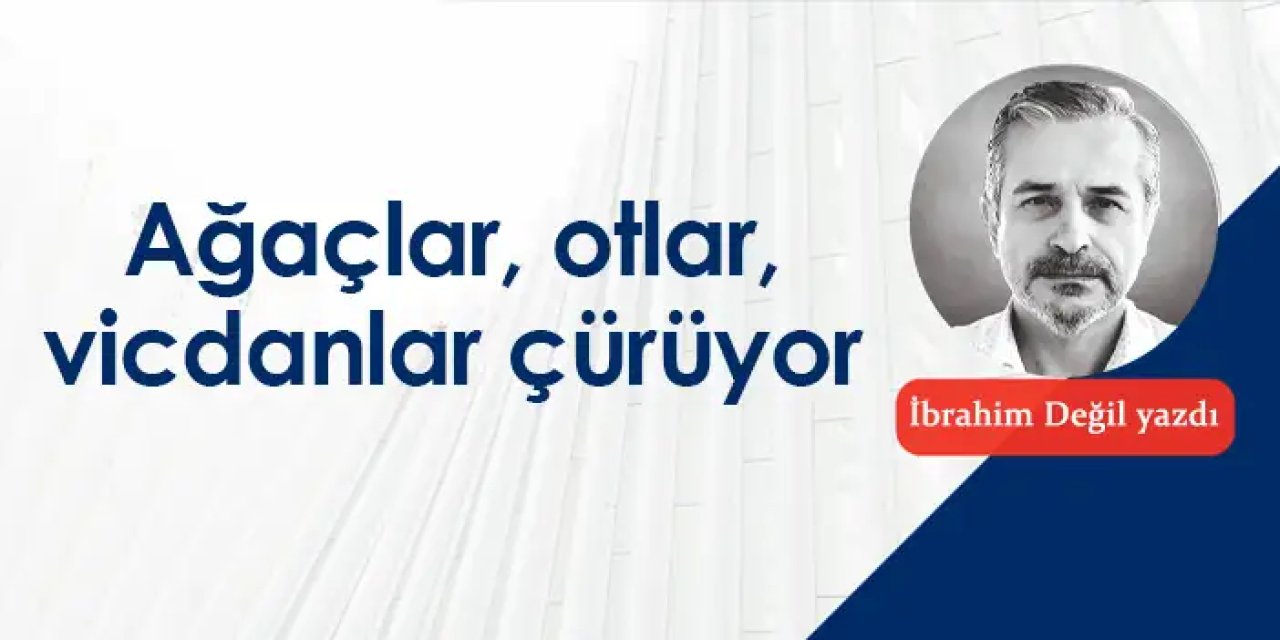 Ağaçlar, otlar, vicdanlar çürüyor