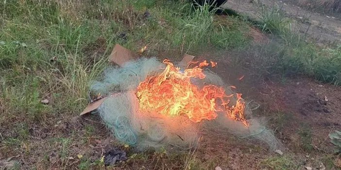 Samsun'da kaçak su ürünleri imha edildi!