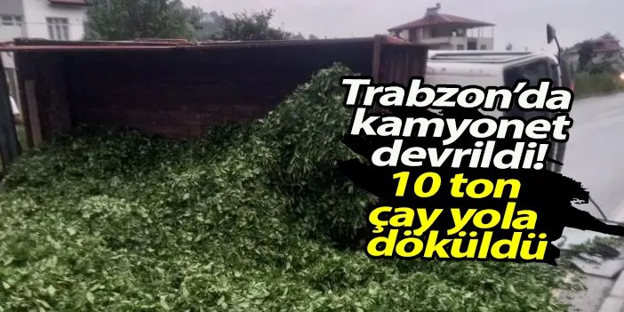 Trabzon'da 10 ton çay yola döküldü! Vatandaş el birliğiyle temizledi