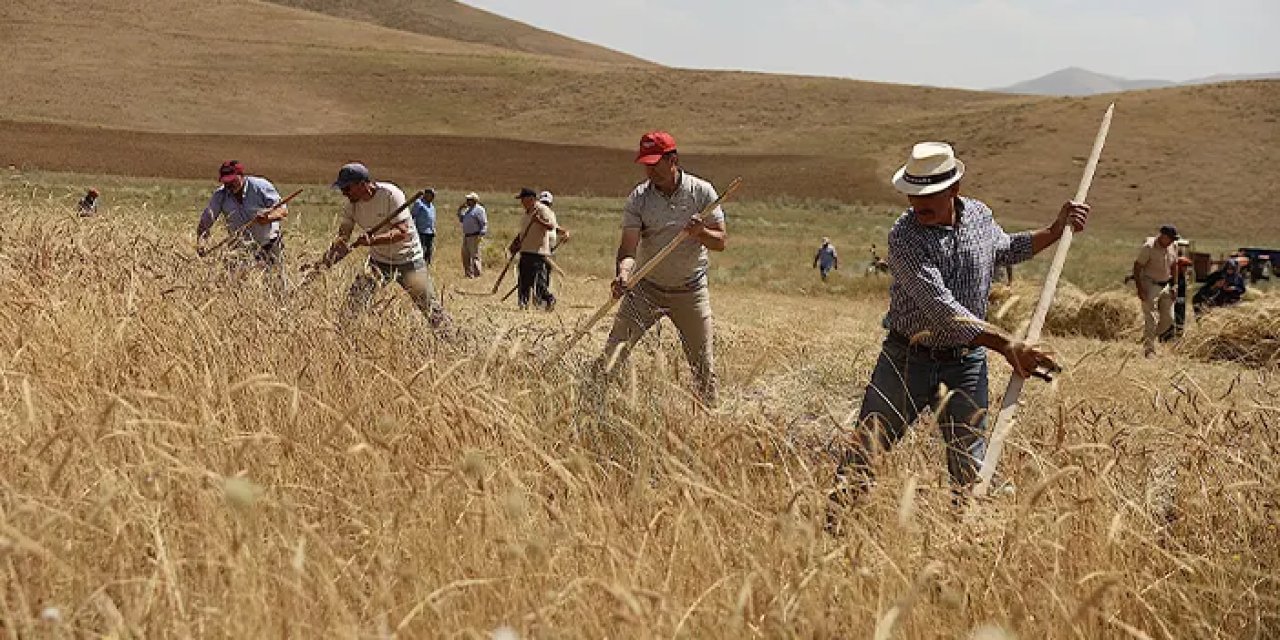 Bayburt’ta asırlık hasat geleneği canlandı: Harman Festivali renkli başladı