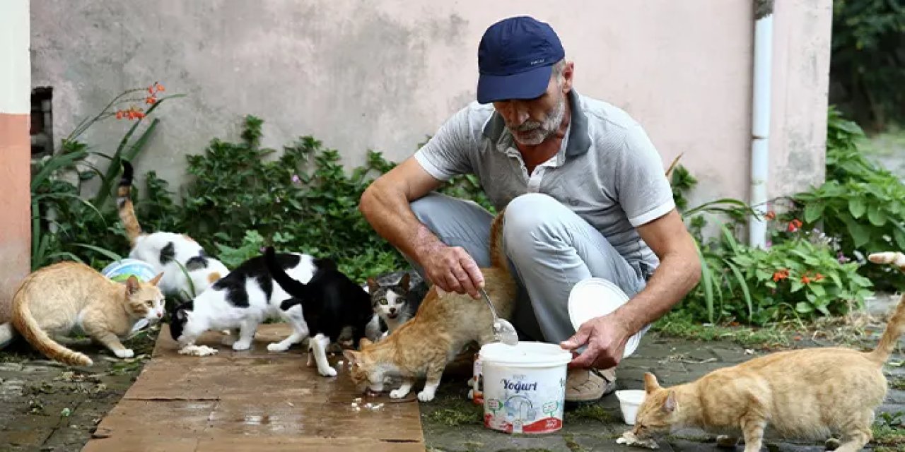 Almanya’dan döndü, hayatını sokak kedilerine adadı