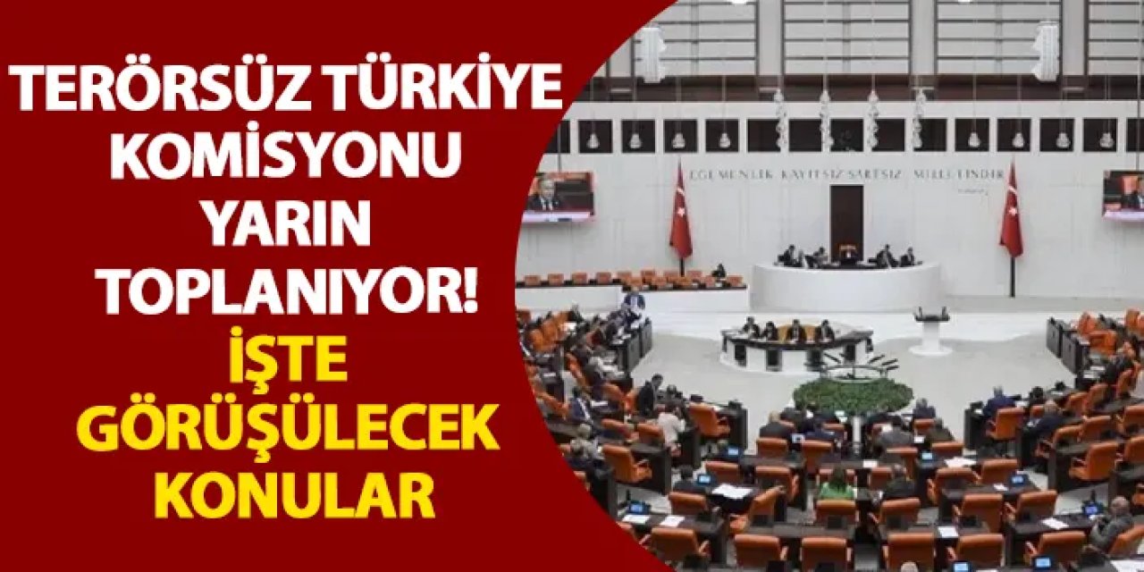 Terörsüz Türkiye Komisyonu yarın toplanıyor! İşte görüşülecek konular