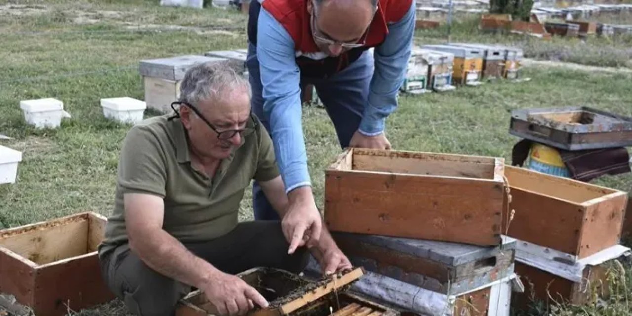 Bayburt’ta bal hasadı değerlendirildi!