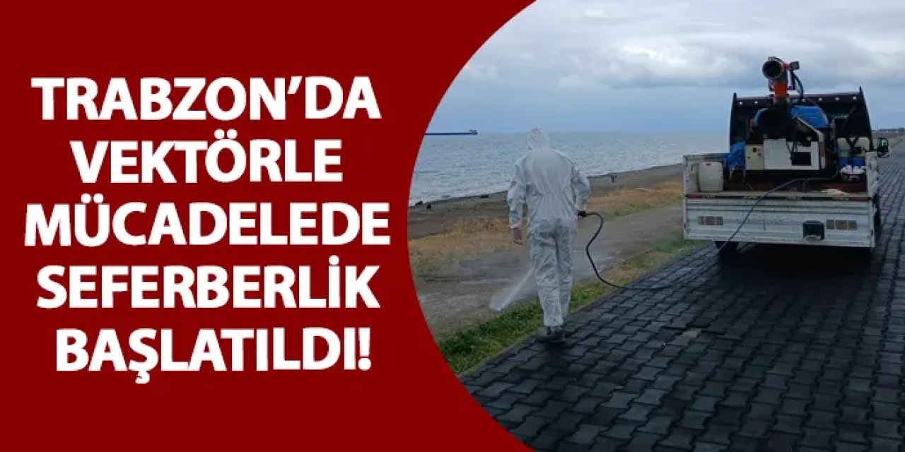 Trabzon’da vektörle mücadelede seferberlik başlatıldı!