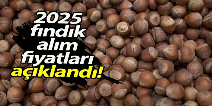 2025 yılı fındık alım fiyatları! Ne kadar? Açıklandı mı? İşte fiyatlar