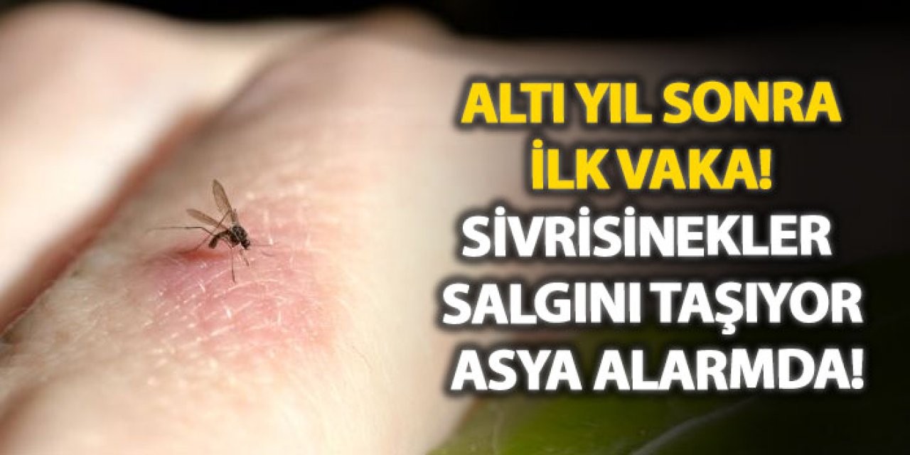 Altı yıl sonra ilk vaka! Sivrisinekler salgını taşıyor, Asya alarmda!