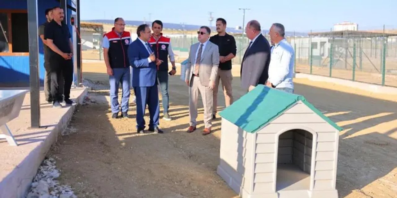 Bayburt’ta sokak hayvanları için örnek proje!