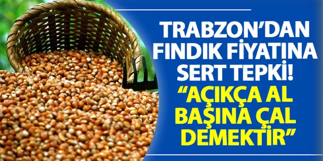 Trabzon’dan fındık fiyatına sert tepki! “Açıkça al başına çal demektir”