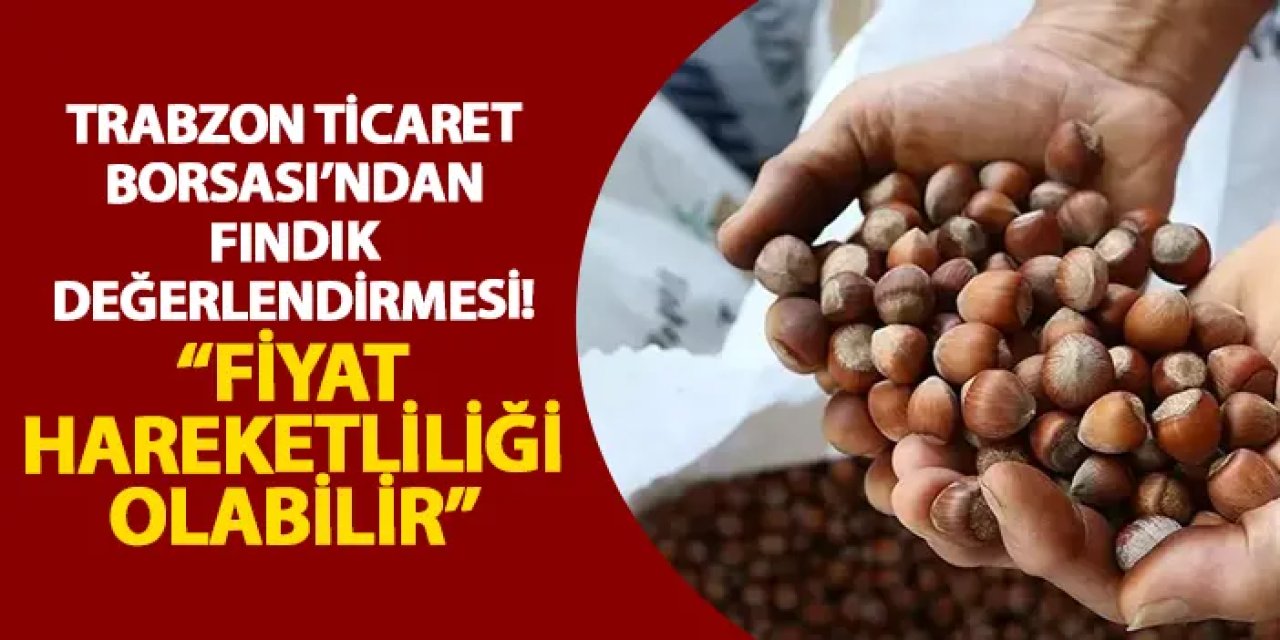 Trabzon Ticaret Borsası’ndan fındık değerlendirmesi! “Fiyat hareketliliği olabilir”