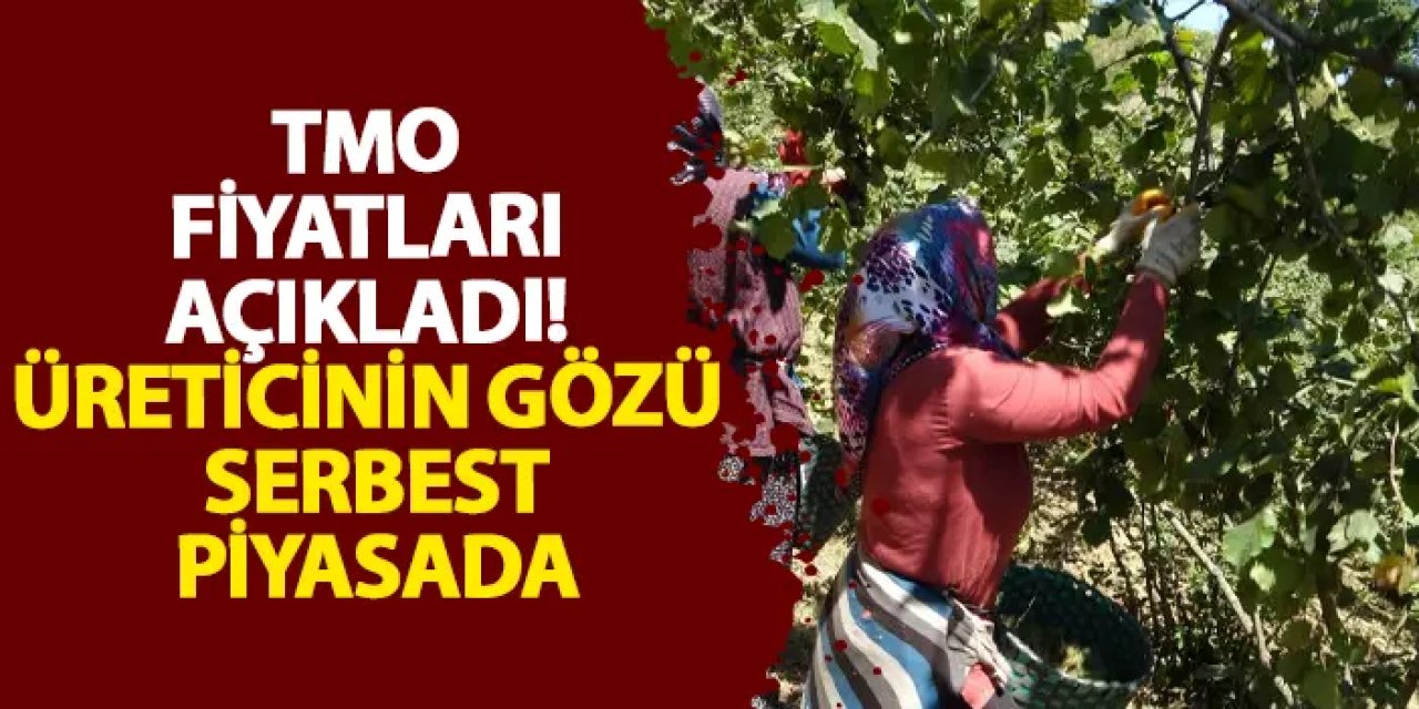 TMO fiyatları açıkladı! Üreticinin gözü serbest piyasada