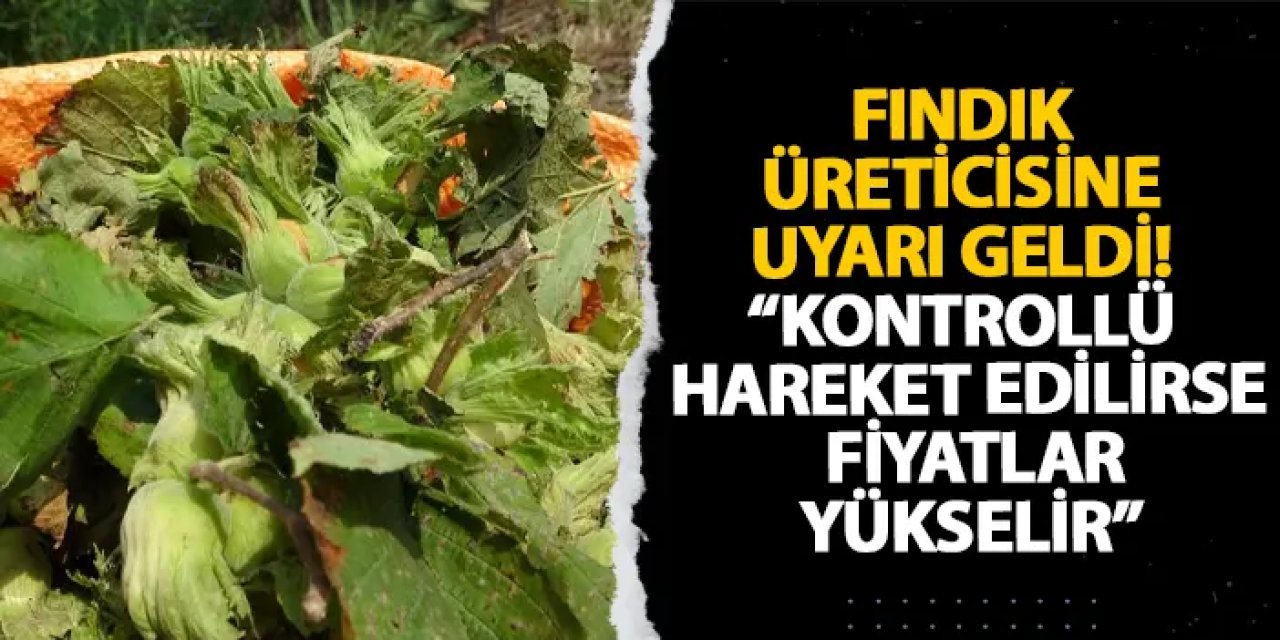 Fındık üreticisine uyarı geldi! “Kontrollü hareket edilirse fiyatlar yükselir”