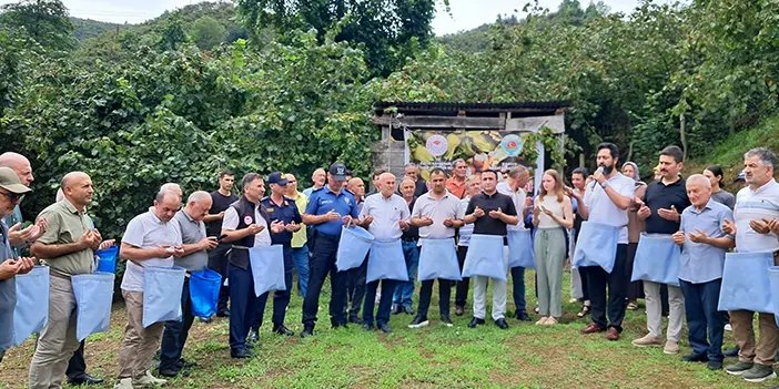 Giresun'da fındık hasadı etkinliği düzenlendi