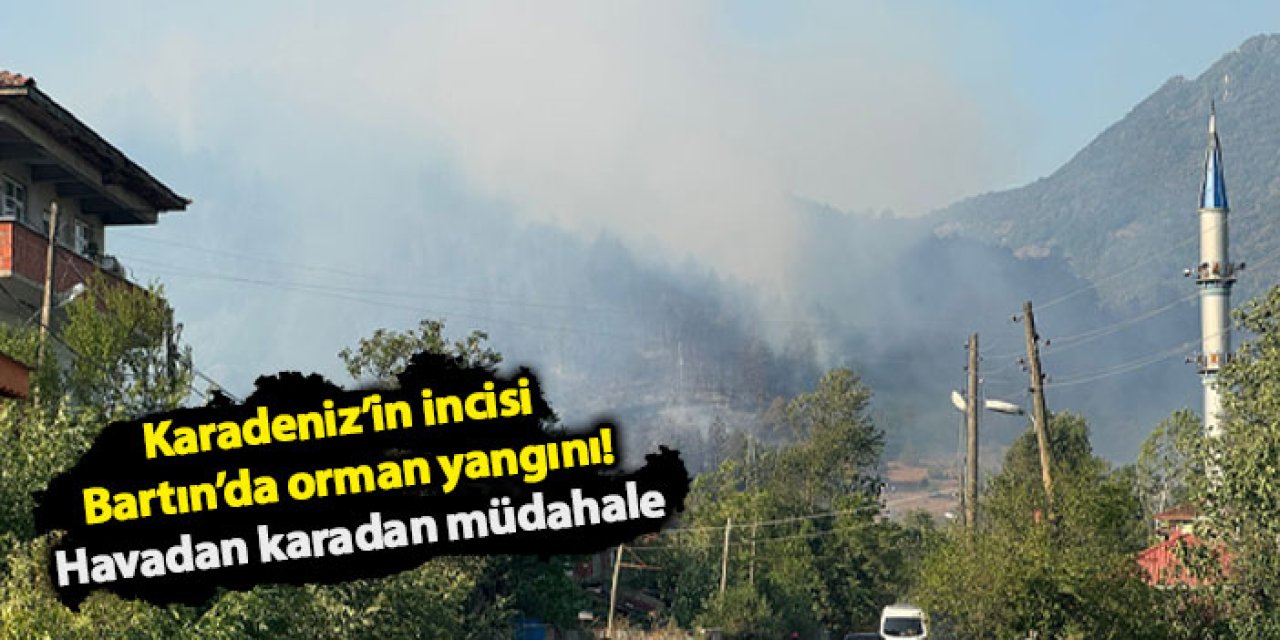 Karadeniz’in incisi Bartın’da orman yangını! Havadan karadan müdahale