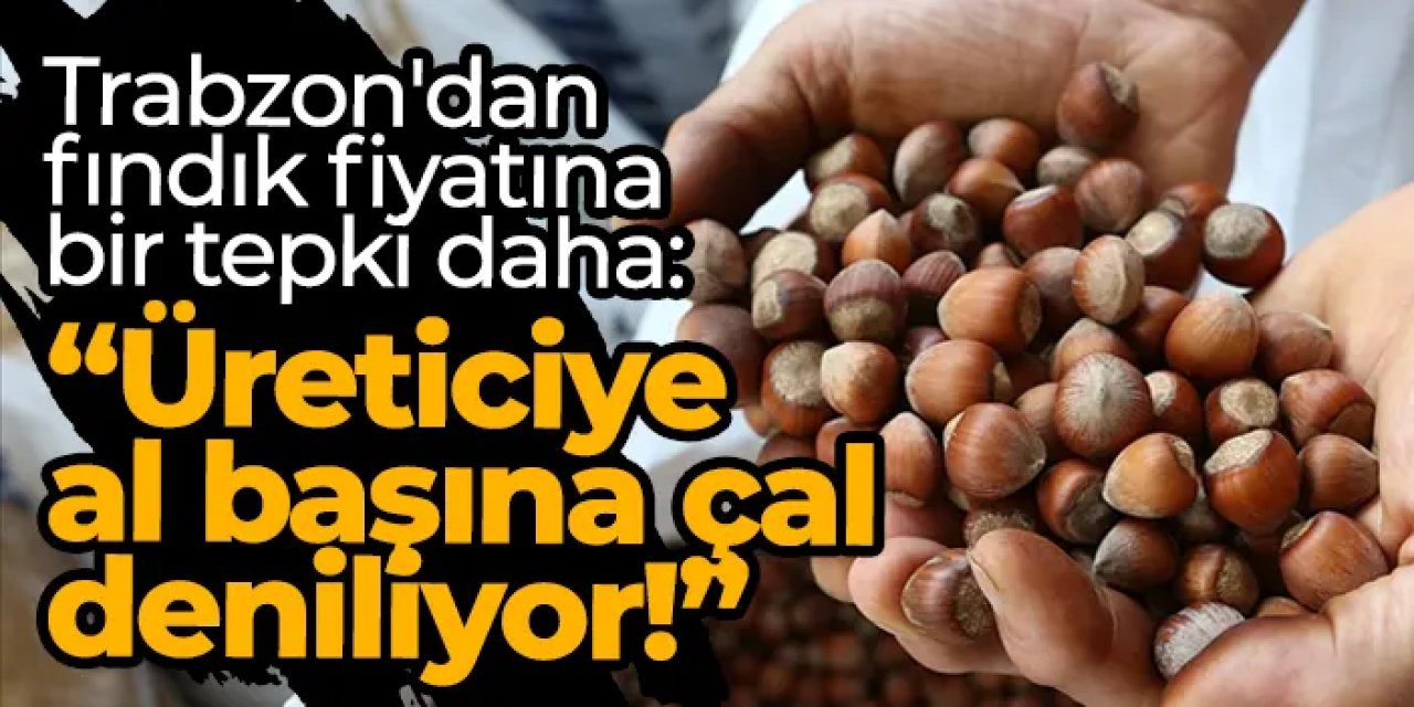 CHP’li Bak’tan fındık fiyatına sert tepki: “Fındık üreticisine al başına çal deniliyor!”