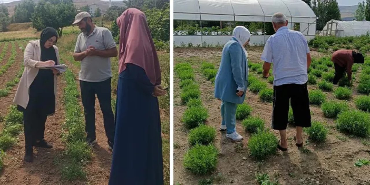 Bayburt tarhununda kalite takibi başladı!