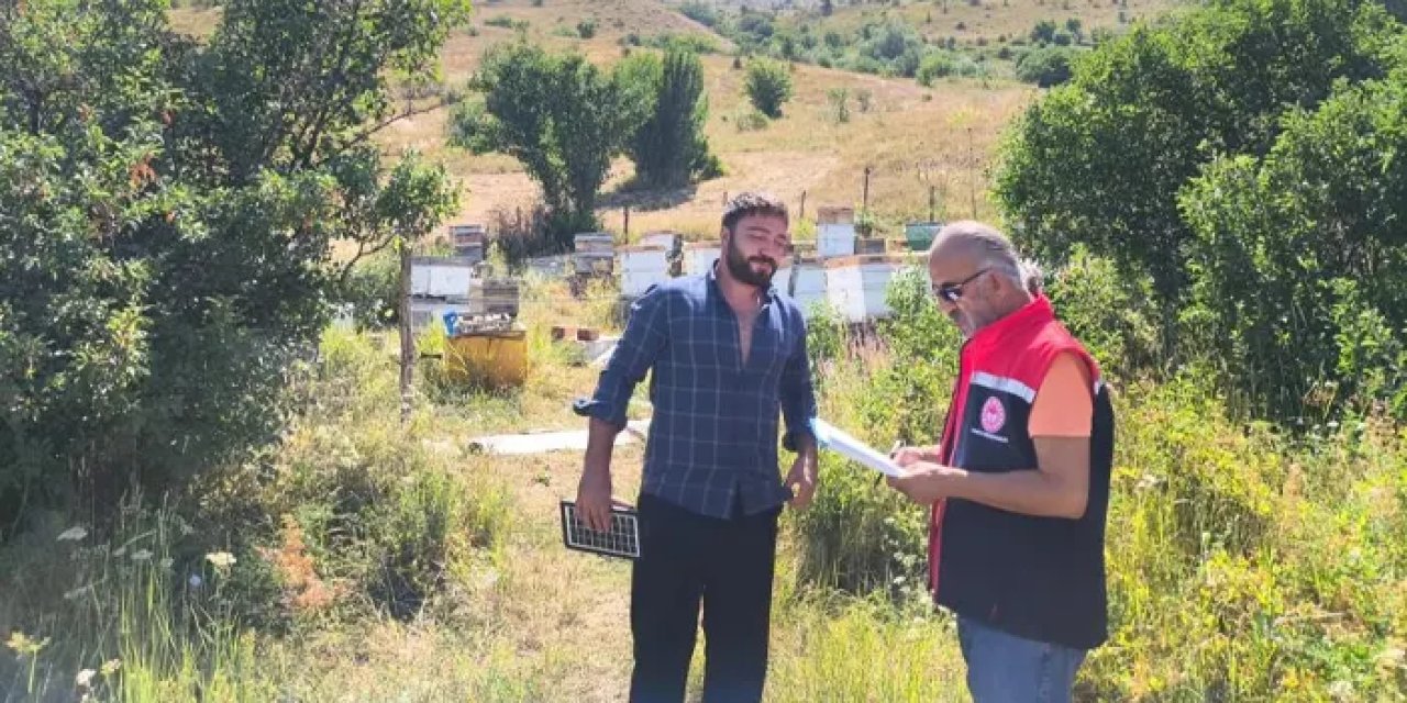 Bayburt’ta arılı kovan tespit çalışmaları başlatıldı
