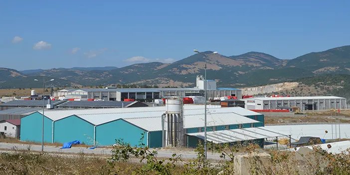 Samsun'da 4,7 milyon dolar ihracat gerçekleştirdi