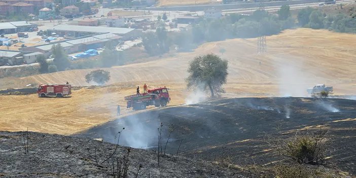 Samsun'da 10 dekar tarım arazisi kül oldu!