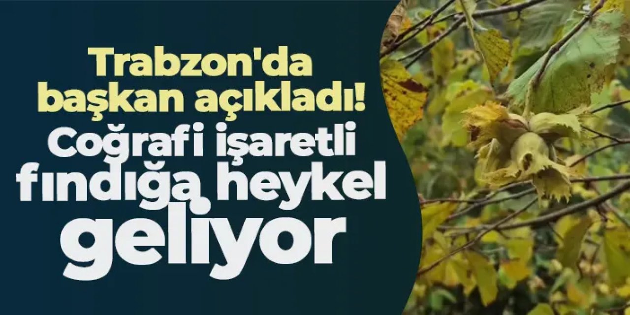 Trabzon'da başkan açıkladı! Coğrafi işaretli fındığa heykel geliyor
